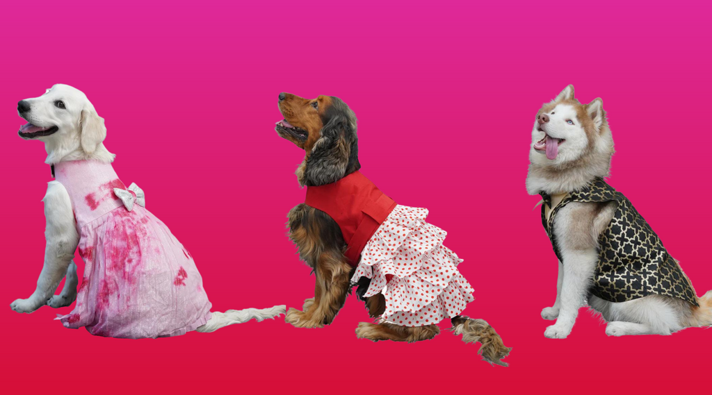 Designer Pet Clothing for Different Occasions