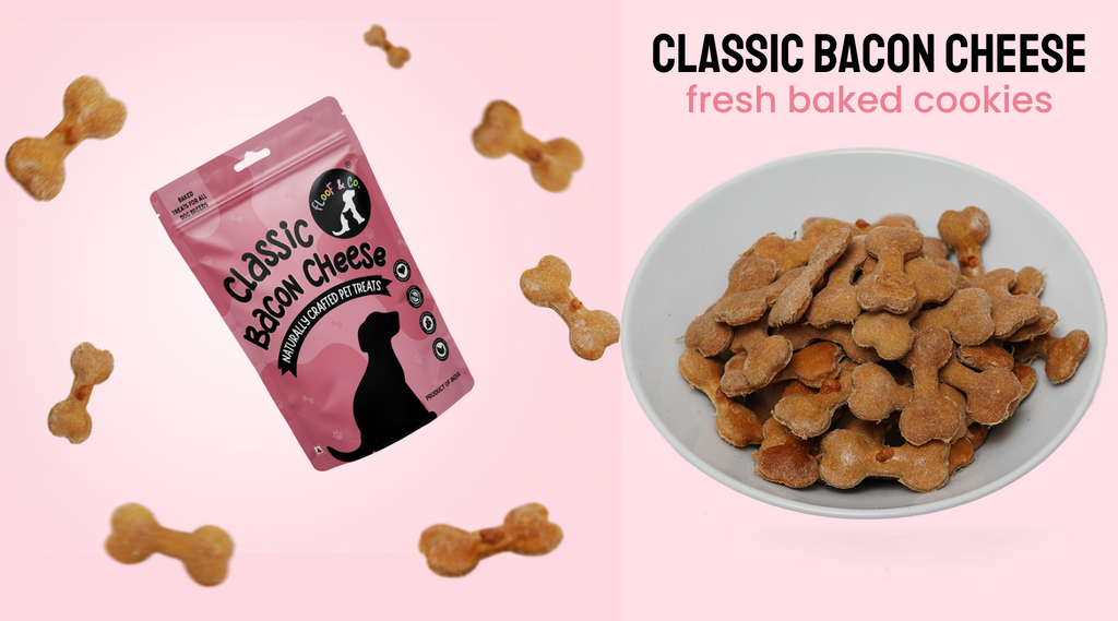 Bacon and Cheese: A Match Made in Heaven for Dogs