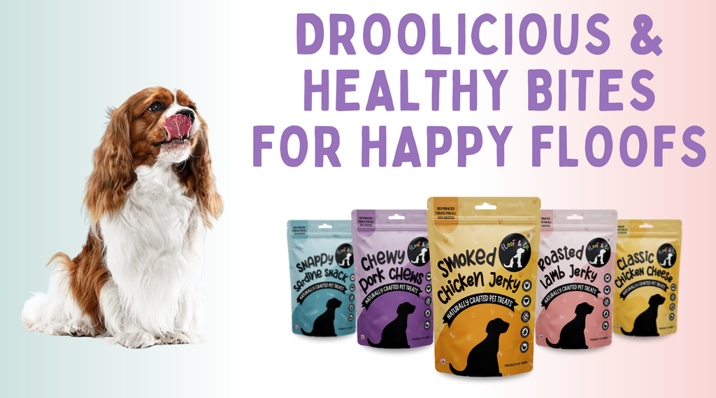 Nutritious sales dog treats