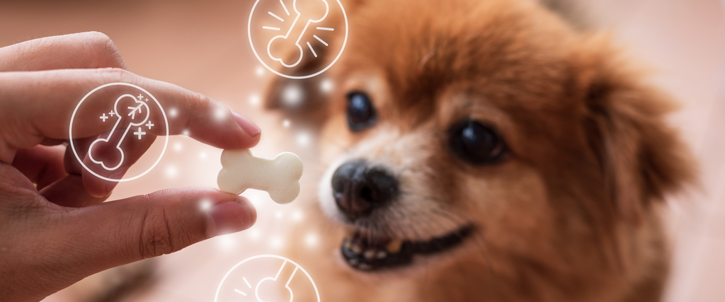 Calcium Rich Dog Foods