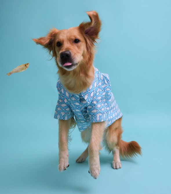 Blue Cotton Shirt - Fish Print