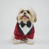 Maroon Dog Tuxedo Suit with Bow Tie | Floof & Co