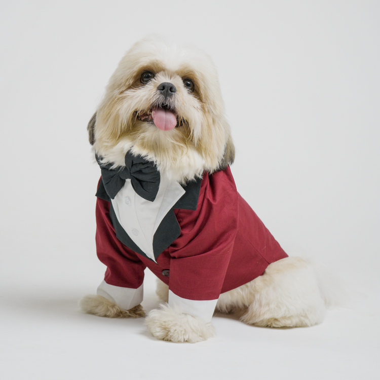 Maroon Dog Tuxedo Suit with Bow Tie | Floof & Co