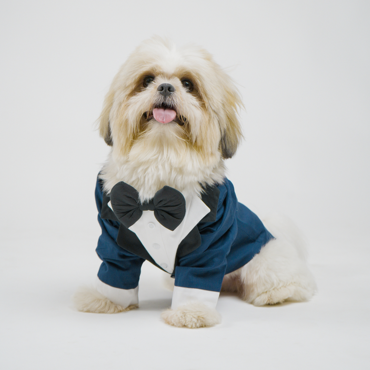 Navy Blue Dog Tuxedo Suit with Bow Tie | Floof & Co