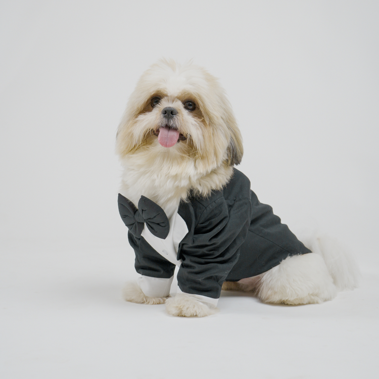 Classic Black Dog Tuxedo Suit with Bow Tie | Floof & Co