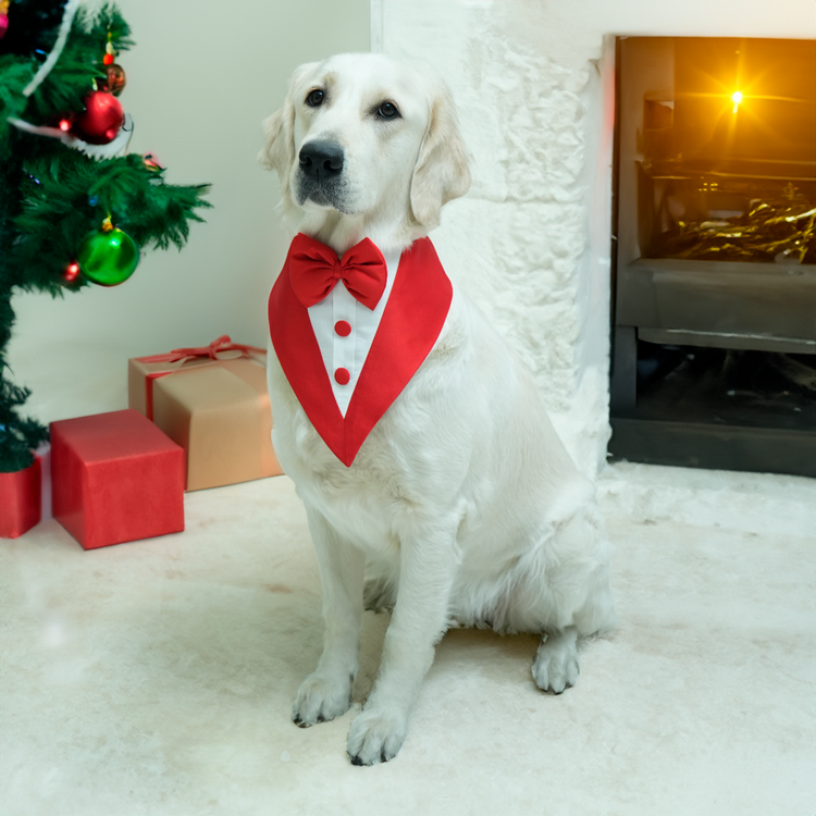 Red Tux Bandana