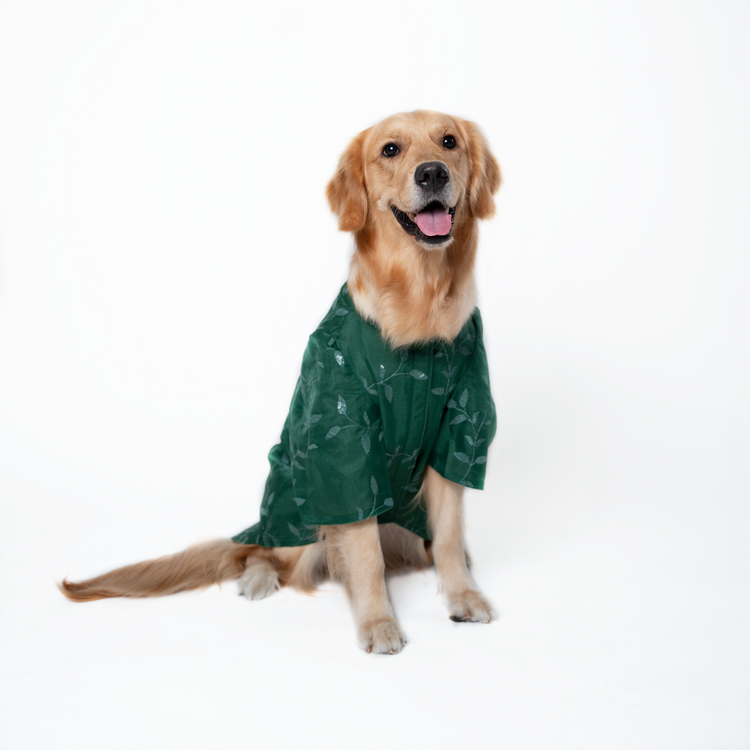 Dark Green Sequence Kurta