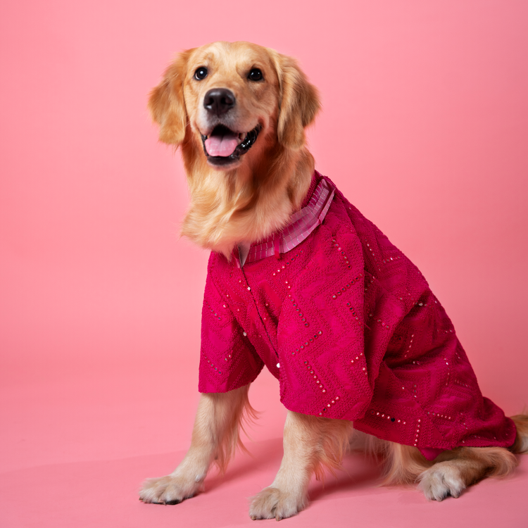 Pink Mirror Kurta