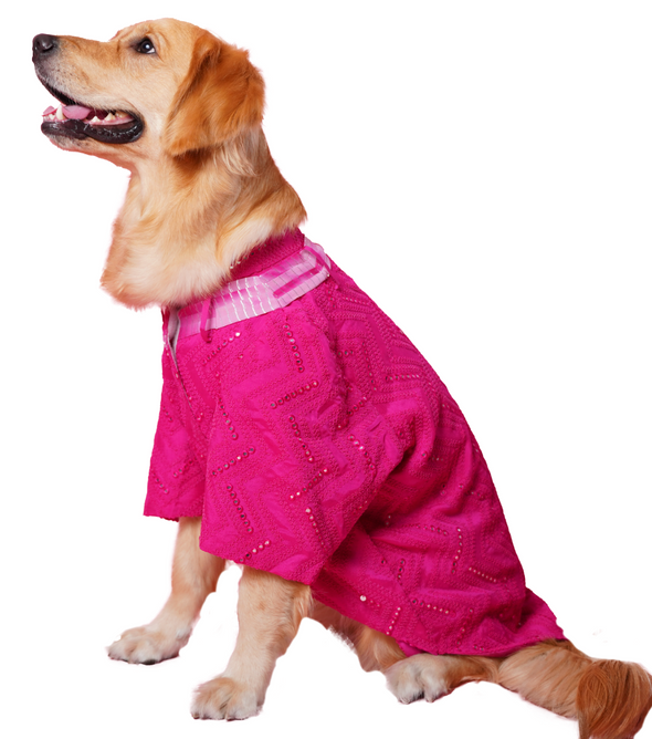Pink Mirror Kurta