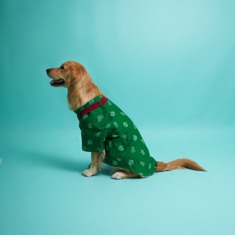 Green Cotton Patola Print Kurta