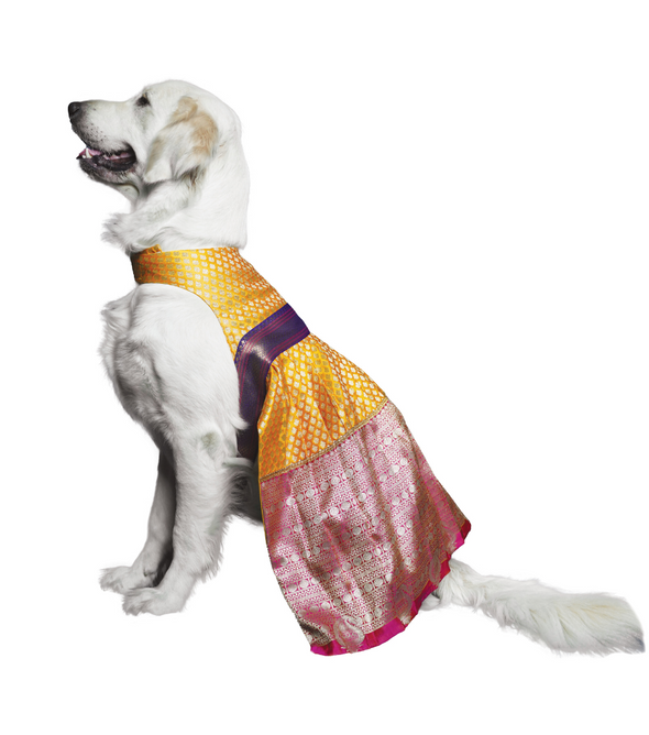 Yellow Silk Lehenga