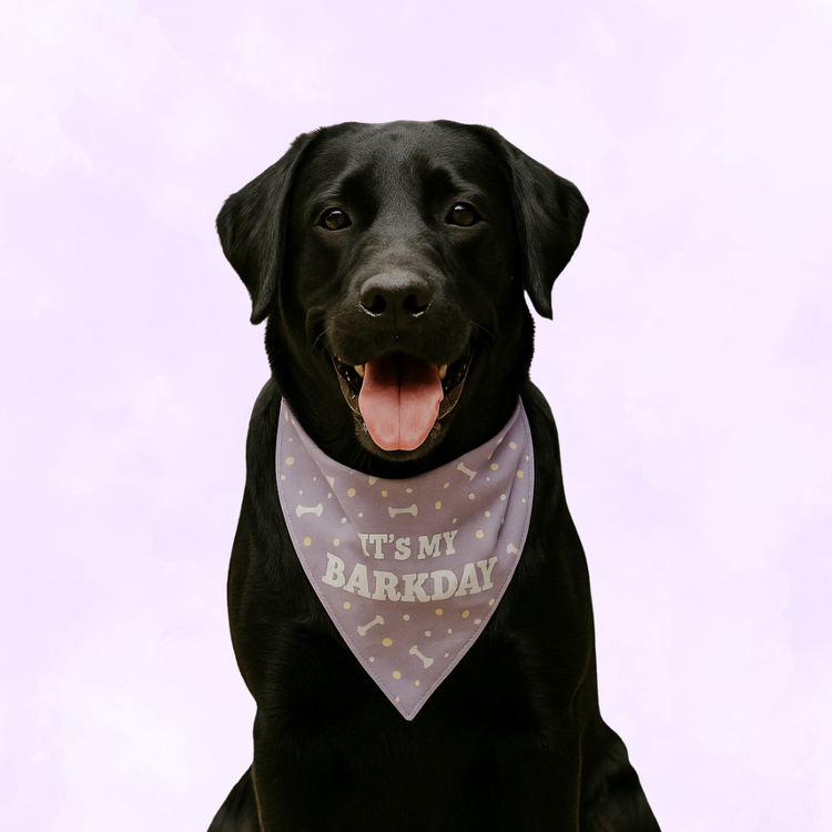 It’s My Barkday Dog Bandana – Lavender Birthday Bandana for Dogs | Floof & Co