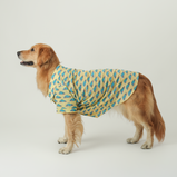Car Print Dog Shirt – Yellow Cotton Shirt for Dogs | Floof & Co