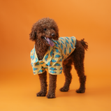 Car Print Dog Shirt – Yellow Cotton Shirt for Dogs | Floof & Co