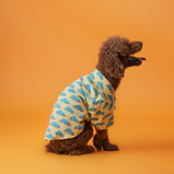 Car Print Dog Shirt – Yellow Cotton Shirt for Dogs | Floof & Co