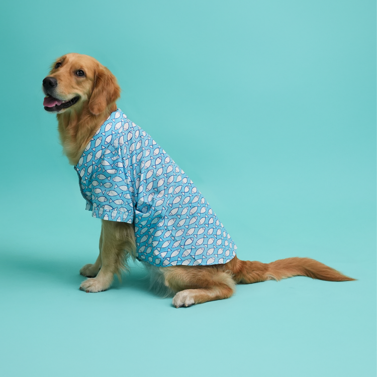 Fish Print Dog Shirt – Sky Blue Casual Shirt for Dogs | Floof & Co