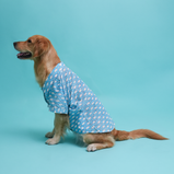 Fish Print Dog Shirt – Sky Blue Casual Shirt for Dogs | Floof & Co
