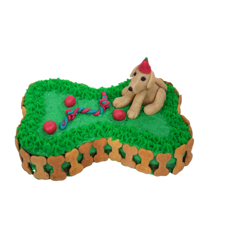 Bone Shape Cake for Dogs & Puppies - Birthday/Celebration