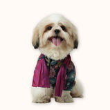 Floral Brocade Dog Kurta – Navy Blue Festive Outfit for Dogs | Floof & Co