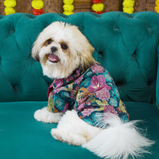 Floral Brocade Dog Kurta – Navy Blue Festive Outfit for Dogs | Floof & Co