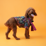 Floral Brocade Dog Kurta – Navy Blue Festive Outfit for Dogs | Floof & Co
