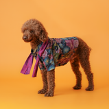 Floral Brocade Dog Kurta – Navy Blue Festive Outfit for Dogs | Floof & Co