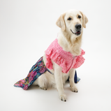 Floral Lehenga for Dogs – Pink & Purple Designer Pet Outfit | Festive Wear for Female Dogs – Floof & Co