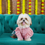 Floral Lehenga for Dogs – Pink & Purple Designer Pet Outfit | Festive Wear for Female Dogs – Floof & Co