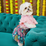 Floral Lehenga for Dogs – Pink & Purple Designer Pet Outfit | Festive Wear for Female Dogs – Floof & Co