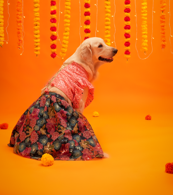 Floral Lehenga for Dogs – Pink & Purple Designer Pet Outfit | Festive Wear for Female Dogs – Floof & Co