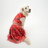 Floral Lehenga for Dogs – Red Designer Pet Dress | Traditional & Festive Outfit – Floof & Co
