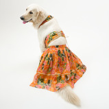 Floral Lehenga for Dogs – Yellow Festive Pet Dress | Traditional Haldi & Party Wear – Floof & Co
