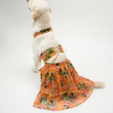 Floral Lehenga for Dogs – Yellow Festive Pet Dress | Traditional Haldi & Party Wear – Floof & Co