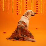 Floral Lehenga for Dogs – Yellow Festive Pet Dress | Traditional Haldi & Party Wear – Floof & Co
