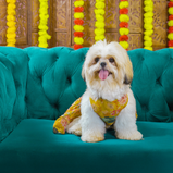Floral Lehenga for Dogs – Yellow Festive Pet Dress | Traditional Haldi & Party Wear – Floof & Co