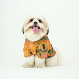 Embroidered Dog Kurta – Yellow Silk Festive Wear for Dogs | Floof & Co