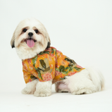 Embroidered Dog Kurta – Yellow Silk Festive Wear for Dogs | Floof & Co