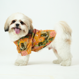 Embroidered Dog Kurta – Yellow Silk Festive Wear for Dogs | Floof & Co