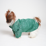 Embroidered Dog Kurta – Green Silk Festive Wear for Dogs | Floof & Co