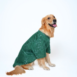 Embroidered Dog Kurta – Green Silk Festive Wear for Dogs | Floof & Co