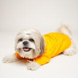 Floral Print Dog Kurta – Yellow Traditional Outfit for Dogs | Floof & Co