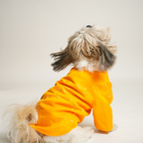 Floral Print Dog Kurta – Yellow Traditional Outfit for Dogs | Floof & Co