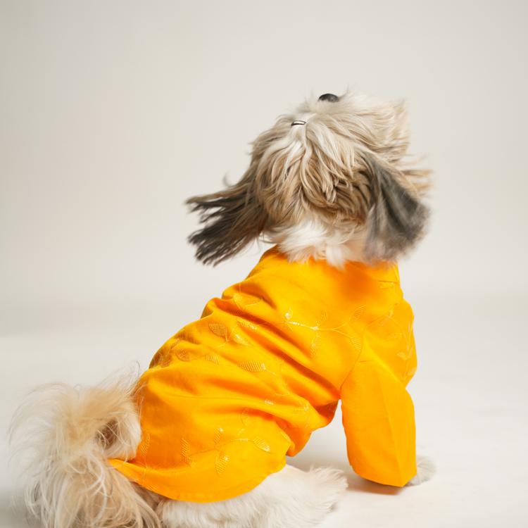 Floral Print Dog Kurta – Yellow Traditional Outfit for Dogs | Floof & Co