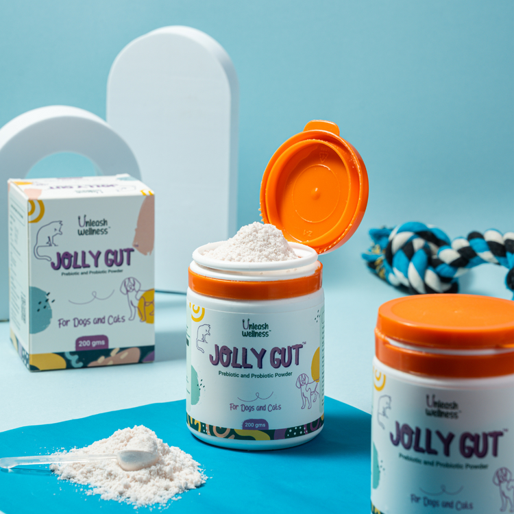 JOLLY GUT - Pre & Probiotic Supplement for Dogs and Cats (200 grams)