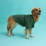 Leopard Print Dog Shirt – Green Safari Style Pet Shirt | Floof & Co