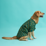 Leopard Print Dog Shirt – Green Safari Style Pet Shirt | Floof & Co
