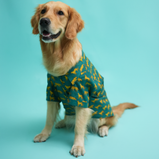 Leopard Print Dog Shirt – Green Safari Style Pet Shirt | Floof & Co