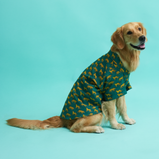 Leopard Print Dog Shirt – Green Safari Style Pet Shirt | Floof & Co
