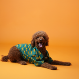 Leopard Print Dog Shirt – Green Safari Style Pet Shirt | Floof & Co
