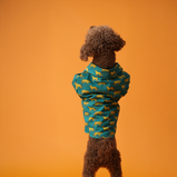 Leopard Print Dog Shirt – Green Safari Style Pet Shirt | Floof & Co